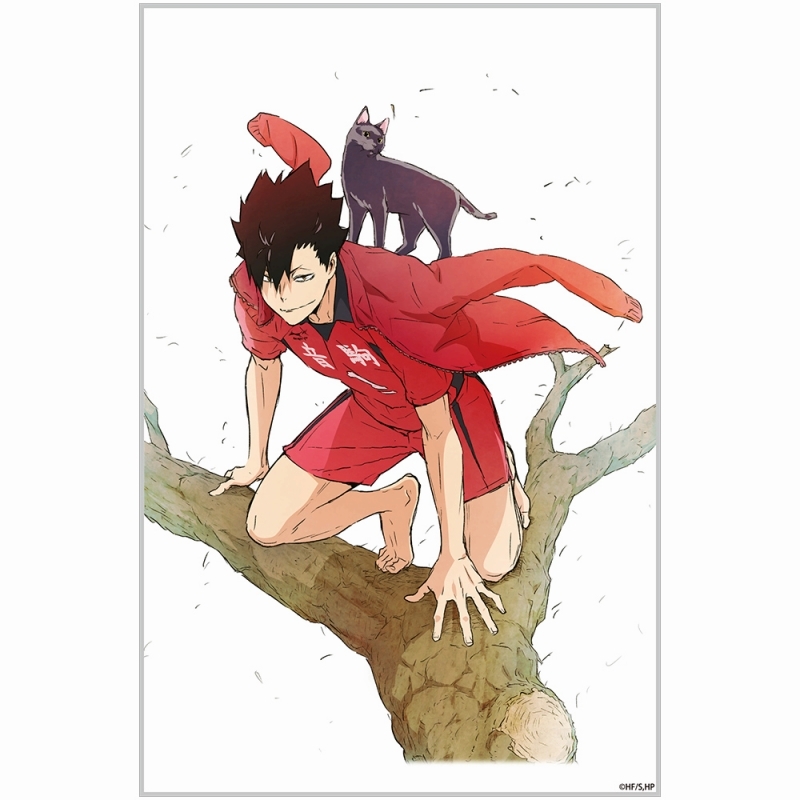 ハイキュー!! 黒尾鉄朗 アクリルアートスタンド Ver.1.0 画像 3 | AniSmile