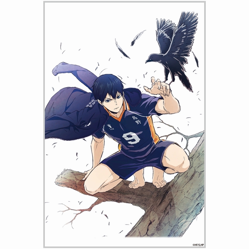 ハイキュー!! 影山飛雄 アクリルアートスタンド Ver.1.0 画像 3 | AniSmile