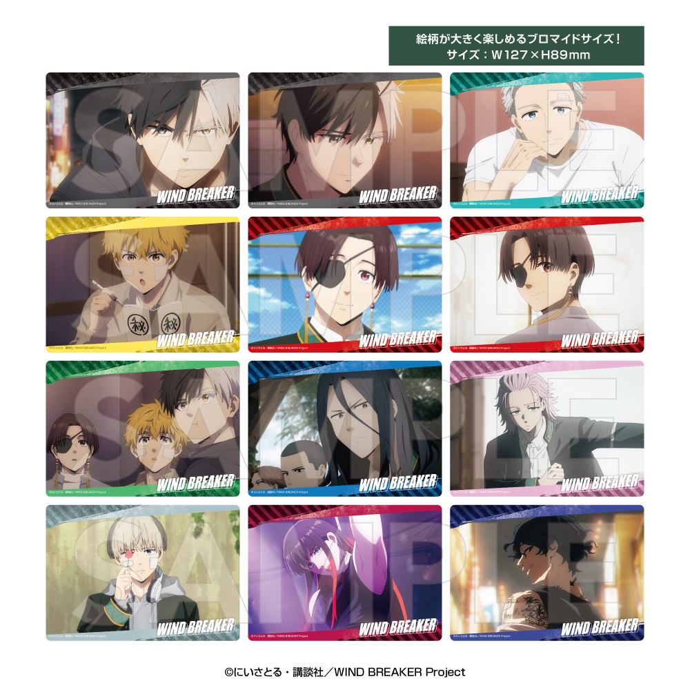 WIND BREAKERトレーディングビッグクリアカード2 ブラインドパック(パック) - 公式商品画像 | AniSmile
