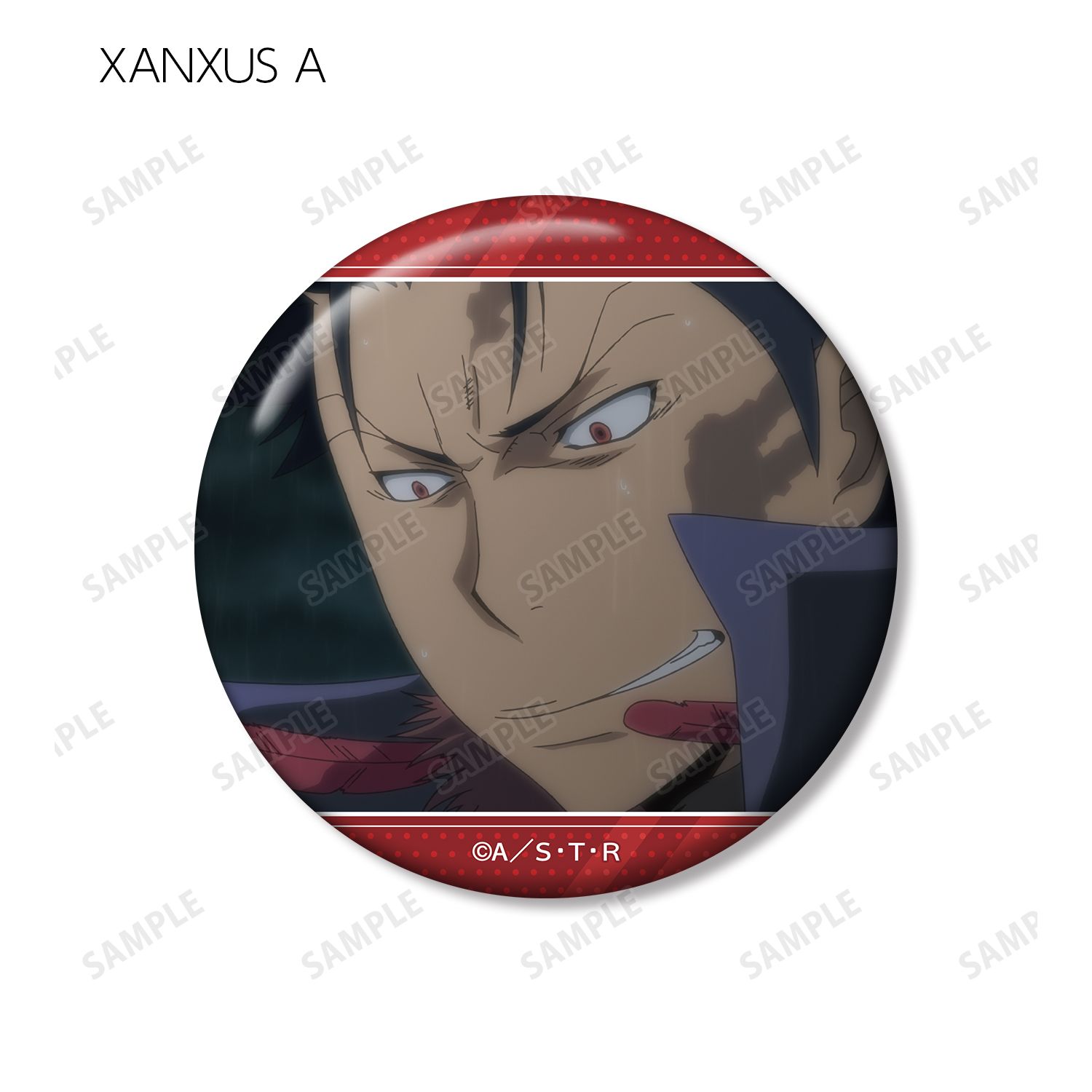 TVアニメ『家庭教師ヒットマンREBORN!』 トレーディング XANXUSオンリー 場面写缶バッジ(単位/単品) 画像 3 | AniSmile