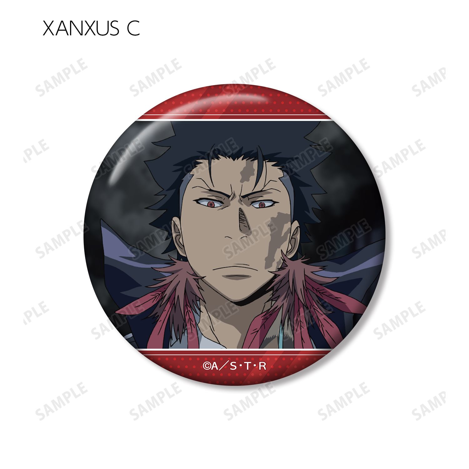 TVアニメ『家庭教師ヒットマンREBORN!』 トレーディング XANXUSオンリー 場面写缶バッジ(単位/単品) 画像 5 | AniSmile