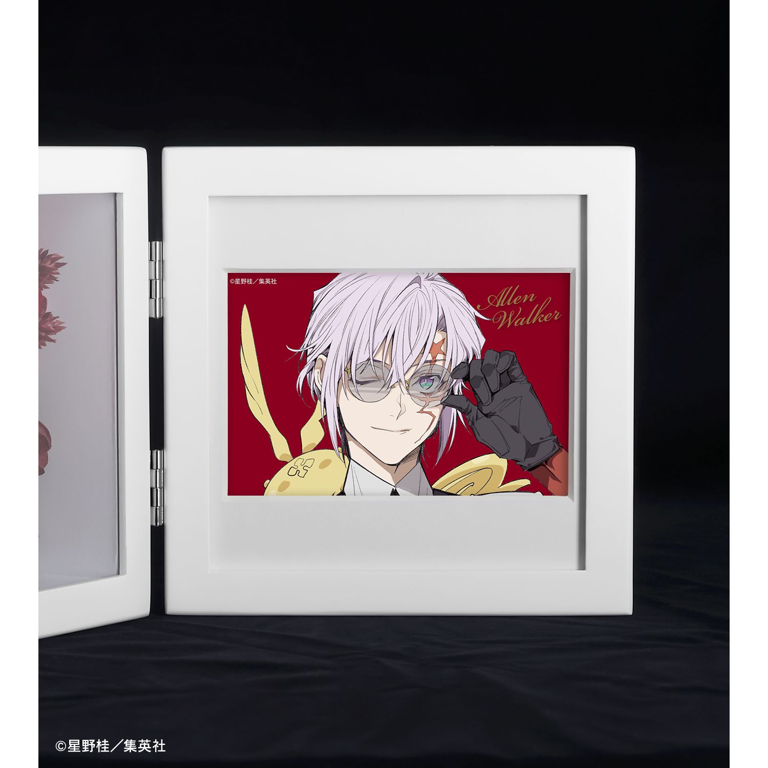 D.Gray-man アレン・ウォーカー プリザーブドフラワー 画像 3 | AniSmile