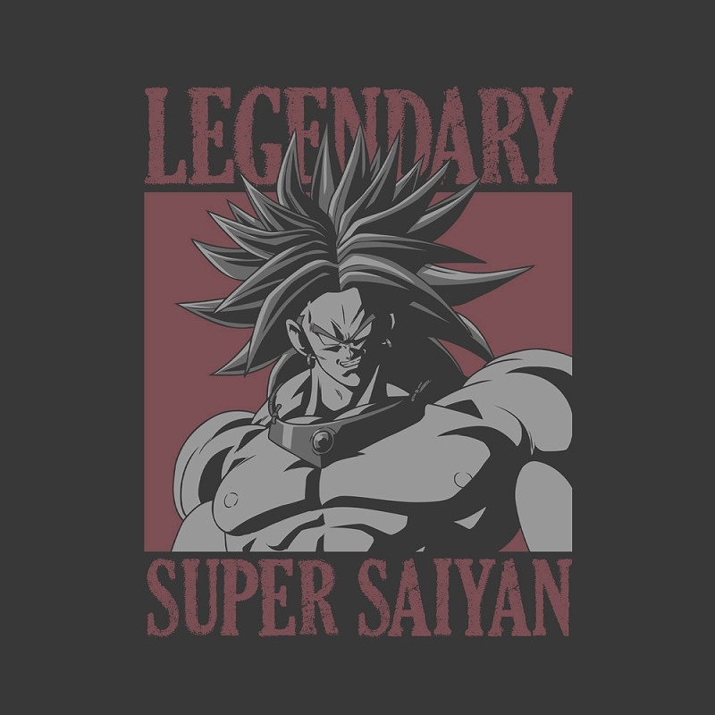 ドラゴンボールZ 伝説の超サイヤ人ブロリー Tシャツ/SUMI-L 画像 2 | AniSmile