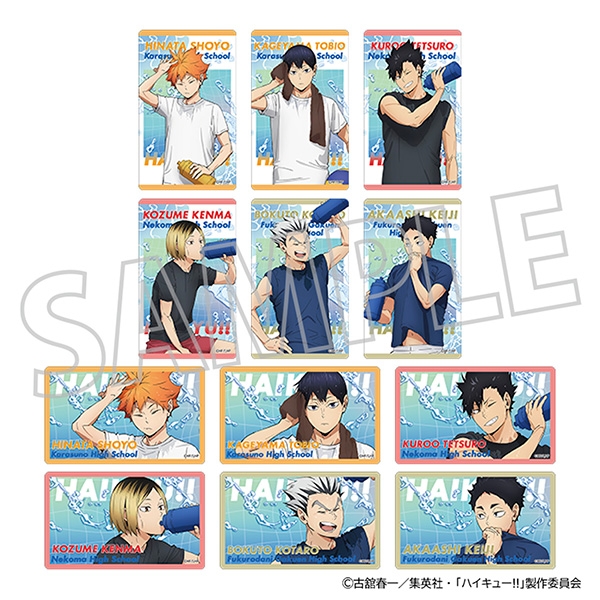 ハイキュー!! クリアシートコレクション/(全12種) クールダウンフェア - 公式商品画像 | AniSmile