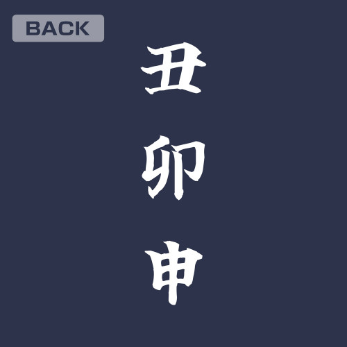NARUTO-ナルト- 疾風伝 はたけカカシ 『雷切』 Tシャツ/INDIGO-XL 画像 5 | AniSmile