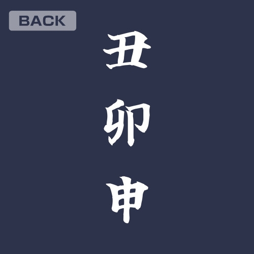 NARUTO-ナルト- 疾風伝 はたけカカシ 『雷切』 Tシャツ/INDIGO-M 画像 5 | AniSmile