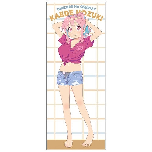 お兄ちゃんはおしまい! 描き下ろし 穂月かえで ハイブリッドフェイスタオル 銭湯上がりのお着替え - 公式商品画像 | AniSmile