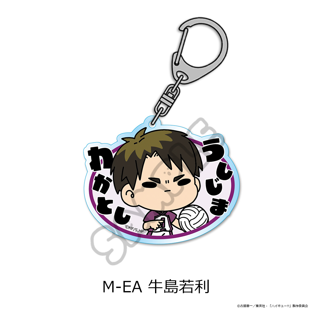 「ハイキュー!!」第11弾 アクリルキーホルダー (mochocho) M-EA(牛島若利) - 公式商品画像 | AniSmile
