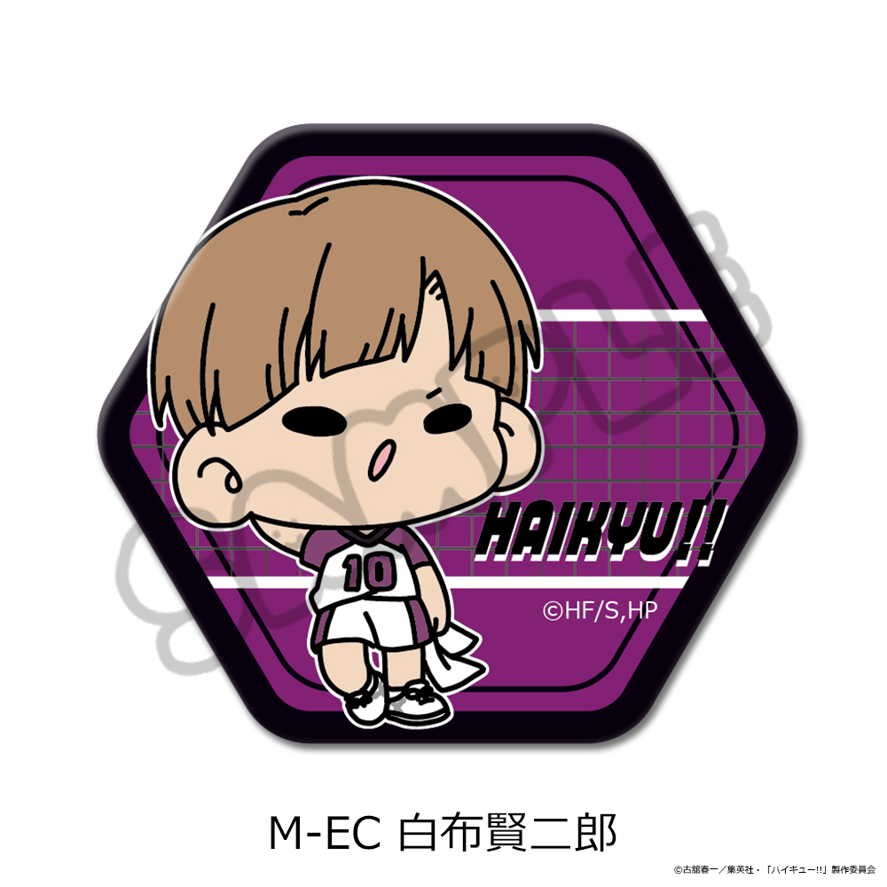 「ハイキュー!!」第11弾 六角形缶バッジ(mochocho) M-EC(白布賢二郎) - 公式商品画像 | AniSmile