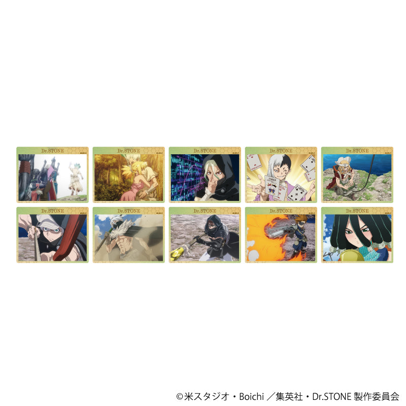 アクリルカード「Dr.STONE」08/ブラインド(全10種)(場面写イラスト) - 公式商品画像 | AniSmile