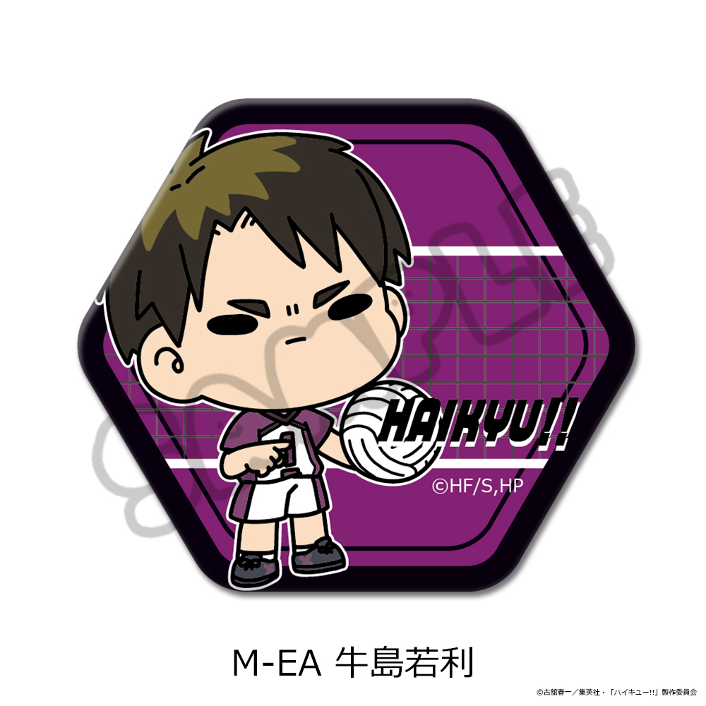 「ハイキュー!!」第11弾 六角形缶バッジ(mochocho) M-EA(牛島若利) 画像 3 | AniSmile