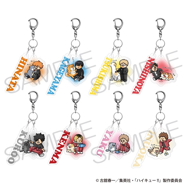 ハイキュー!! ネームキーホルダーコレクション 迷子札ver. Pack - 公式商品画像 | AniSmile