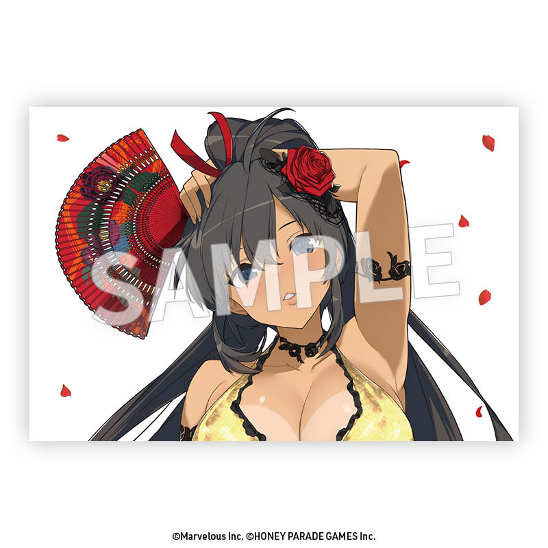 閃乱カグラ 枕カバー 焔(フラメンコ風水着) 画像 2 | AniSmile