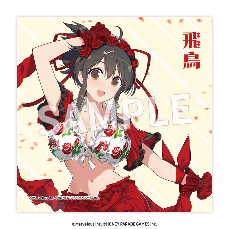 閃乱カグラ クリーナークロス 飛鳥(フラメンコ風水着) - 公式商品画像 | AniSmile