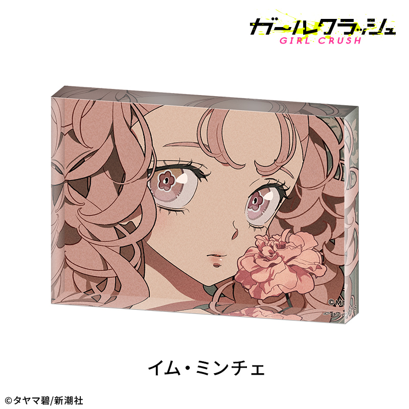 ガールクラッシュ ガールクラッシュ アクリルブロック:イム・ミンチェ 画像 3 | AniSmile