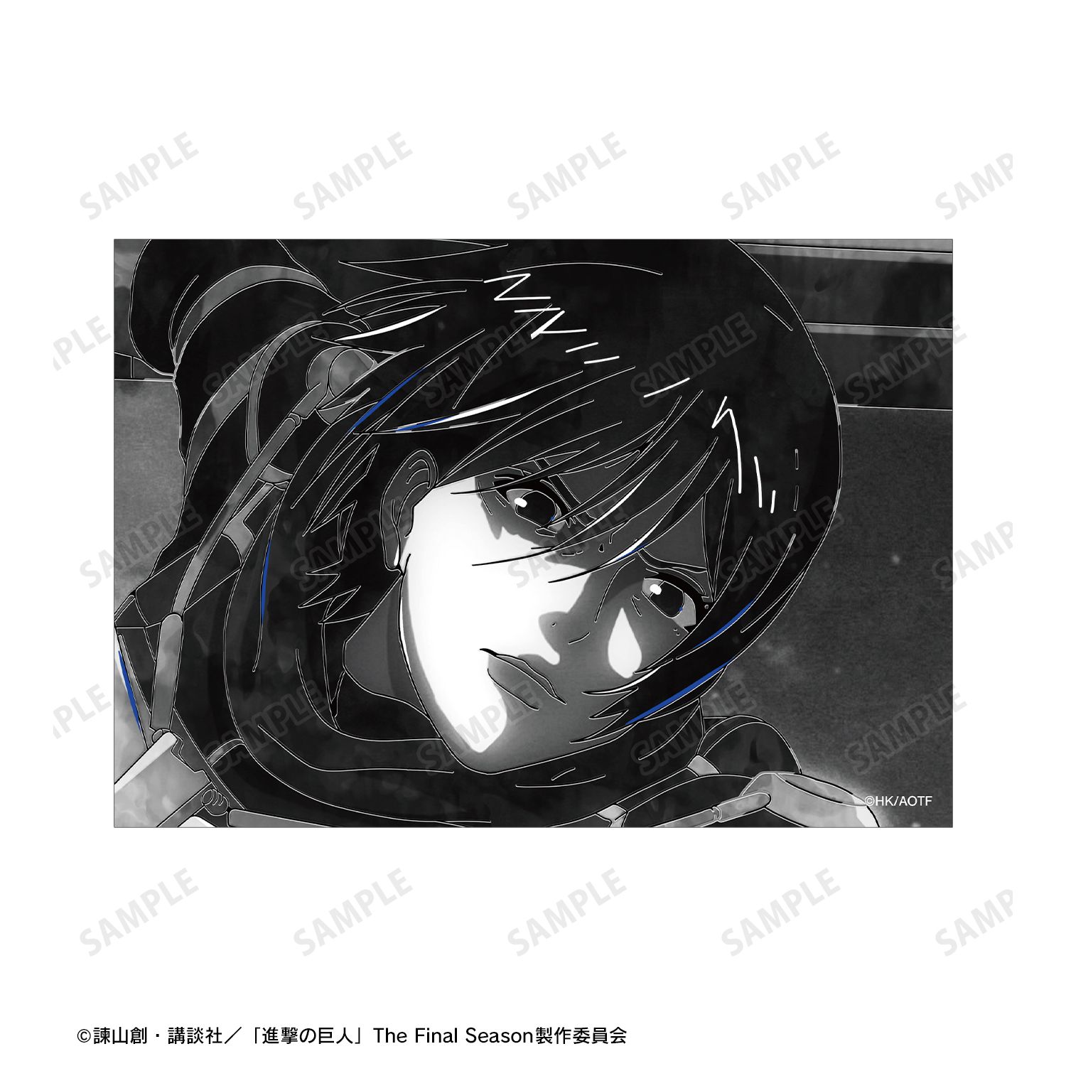 TVアニメ『進撃の巨人』 ミカサ Ani-Art BLACK LABEL 第2弾 ブロマイド2枚セット 画像 3 | AniSmile