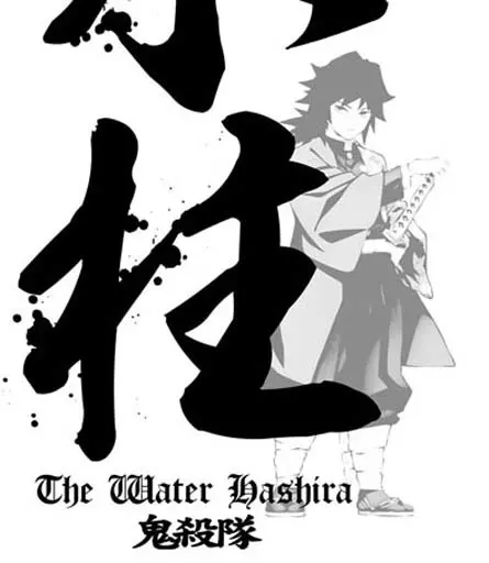 鬼滅の刃 水柱 冨岡義勇 Tシャツ/ASH-XL 画像 3 | AniSmile
