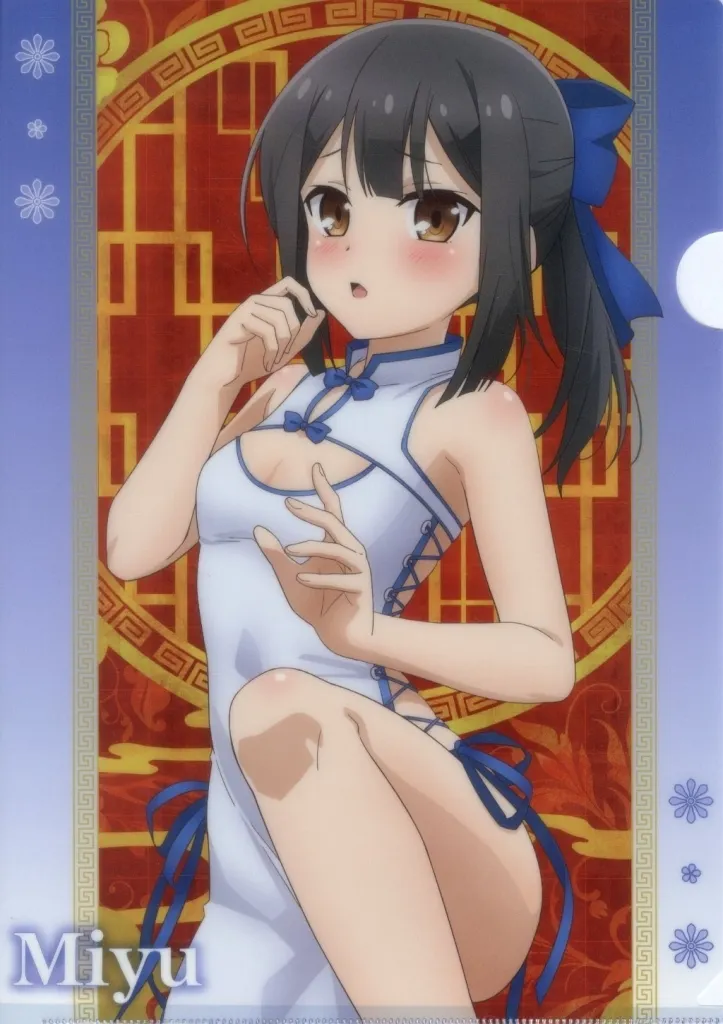 劇場版「Fate/kaleid liner プリズマ☆イリヤ Licht 名前の無い少女」 描き下ろしクリアファイル 美遊 チャイナドレス ver. - 公式商品画像 | AniSmile