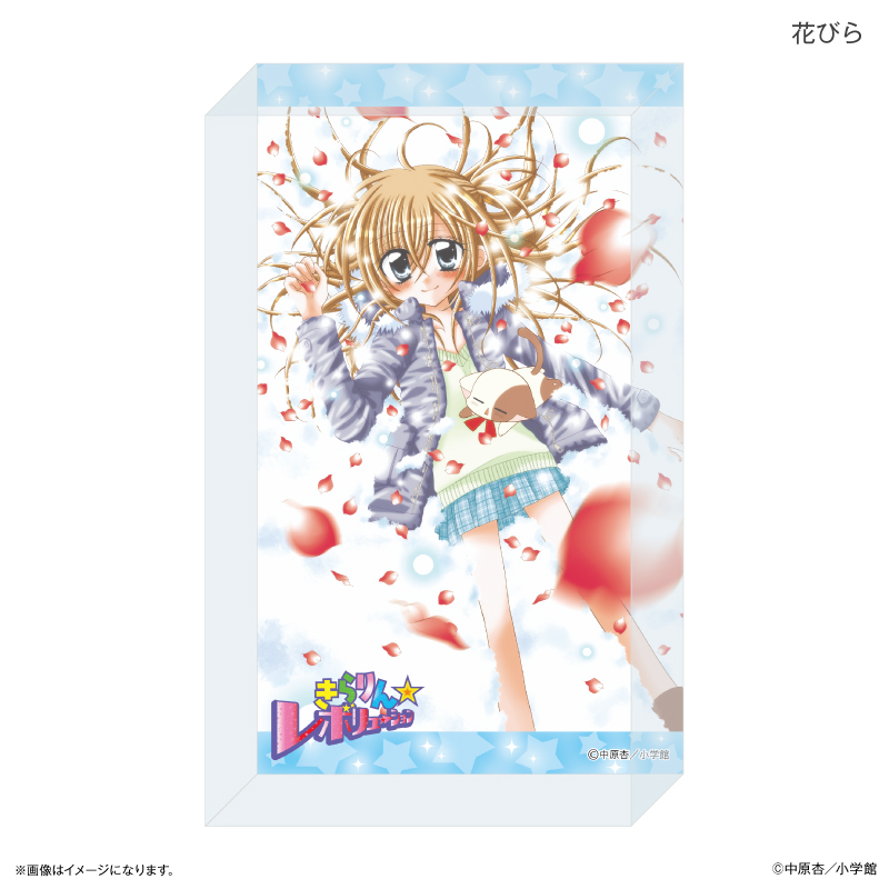 きらりん☆レボリューション アクリルブロック 花びら 画像 2 | AniSmile