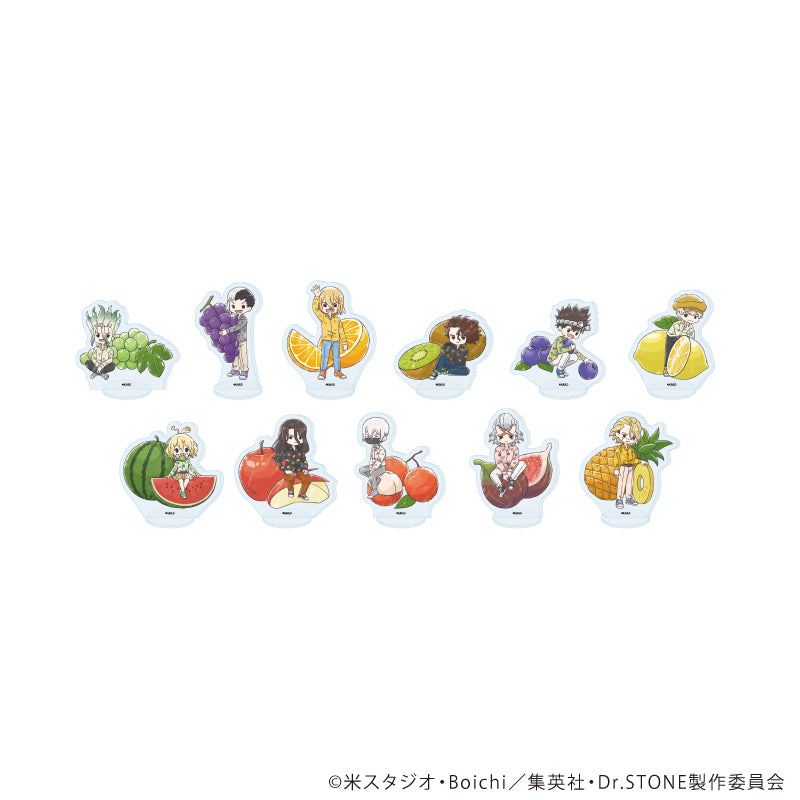 アクリルぷちスタンド「Dr.STONE」21/フルーツver. ブラインド(全11種)(グラフアートイラスト) - AniSmile
