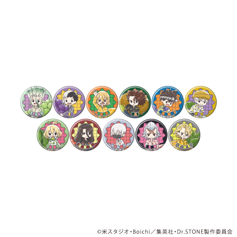 缶バッジ「Dr.STONE」44/フルーツver. ブラインド(全11種)(グラフアートイラスト) - AniSmile