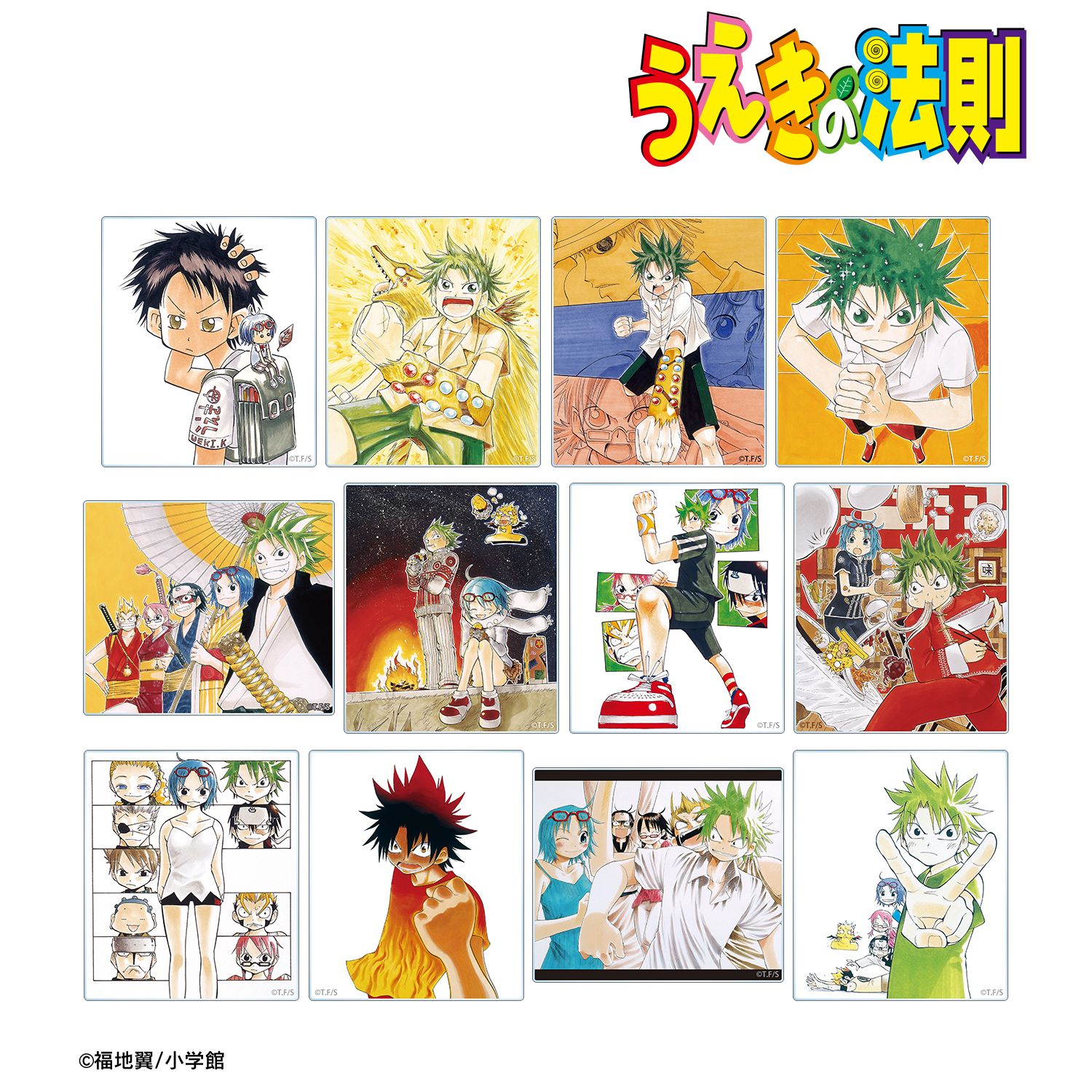 うえきの法則 トレーディングアクリルカード(単位/単品) 图片 3 | AniSmile