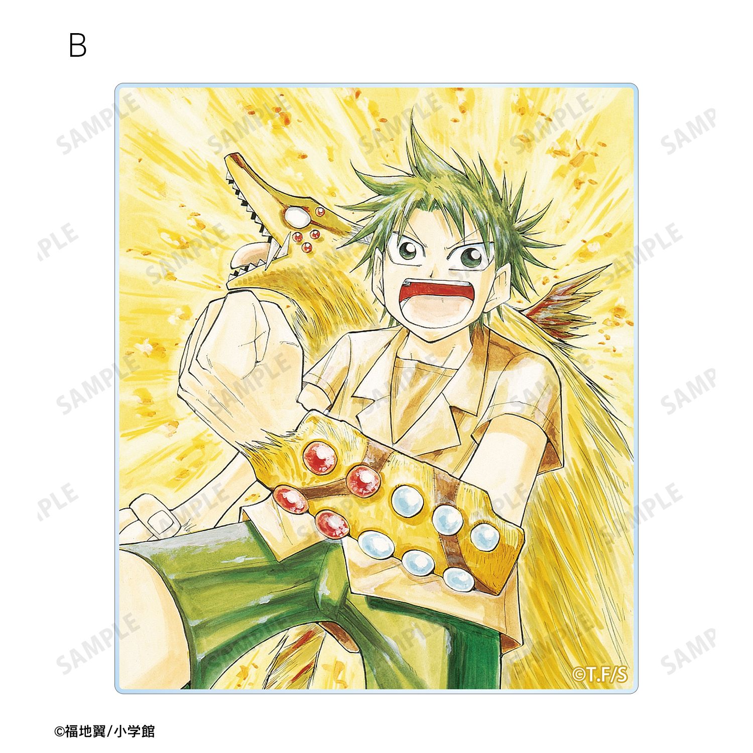 うえきの法則 トレーディングアクリルカード(単位/単品) 图片 4 | AniSmile
