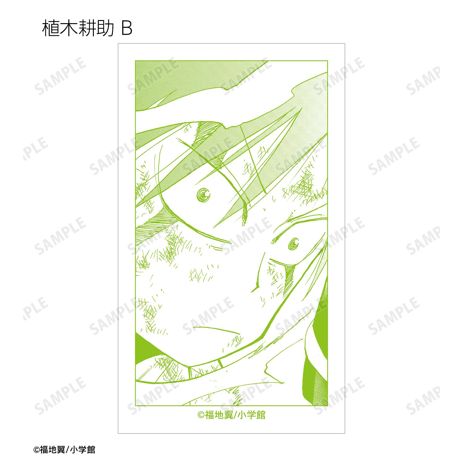 うえきの法則 トレーディング原作コマイラストカード(単位/単品) Image 4 | AniSmile