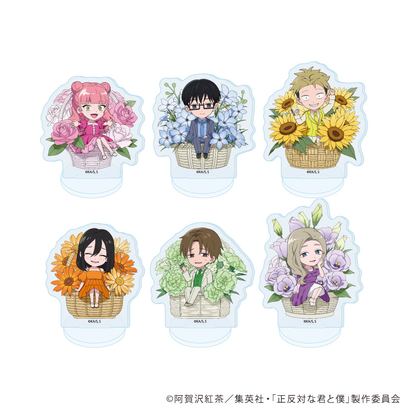 アクリルぷちスタンド「TVアニメ『正反対な君と僕』」02/花ver. ブラインド(全6種)(ミニキャライラスト) - AniSmile