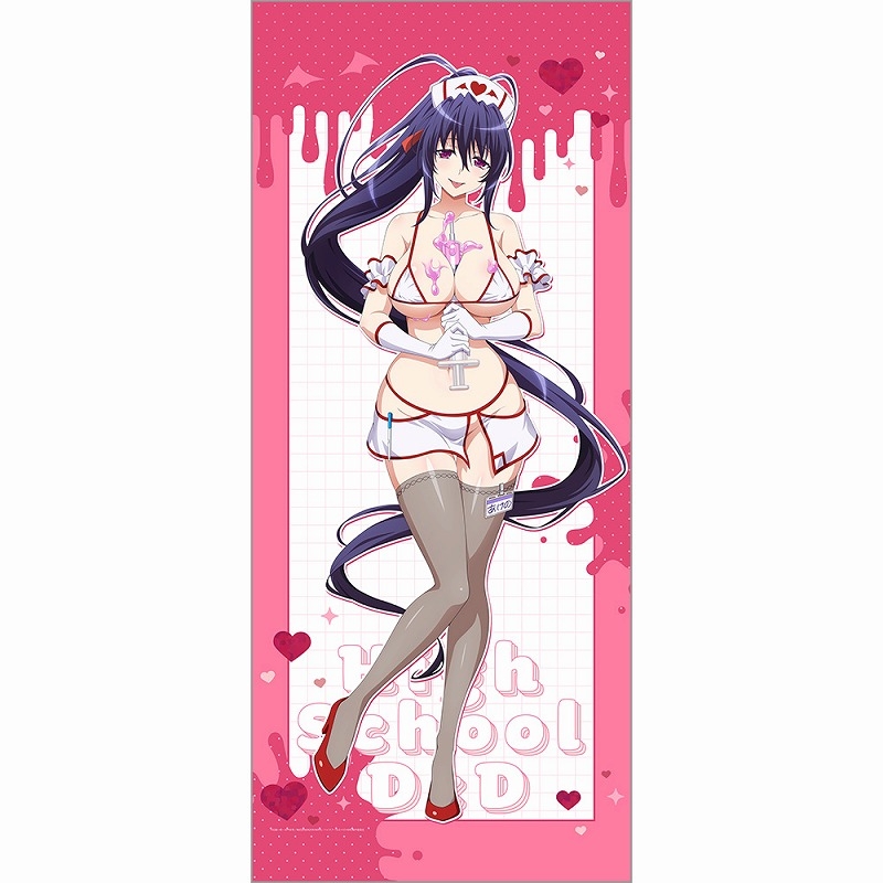 [ハイスクールD×D HERO]描き下ろし特大タペストリー(姫島朱乃/白ナース) - AniSmile