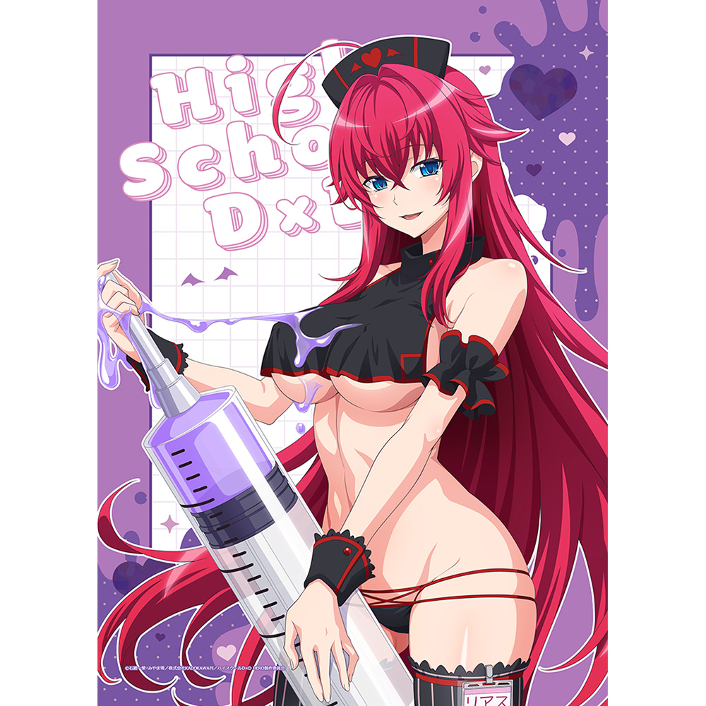 [ハイスクールD×D HERO]描き下ろしB2タペストリー(リアス・グレモリー/黒ナース)Wスエード 图片 4 | AniSmile