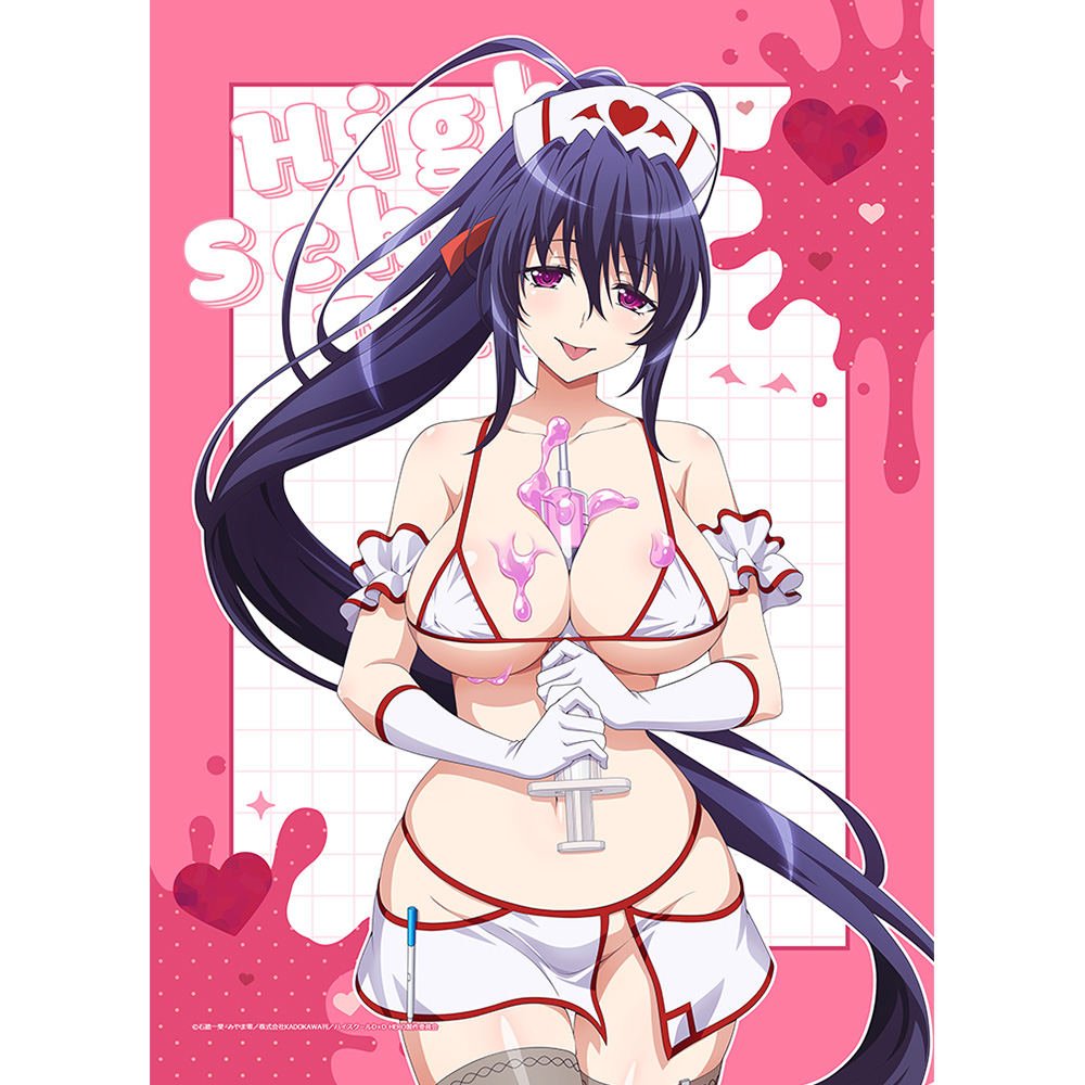 [ハイスクールD×D HERO]描き下ろしB2タペストリー(姫島朱乃/白ナース)Wスエード 图片 3 | AniSmile
