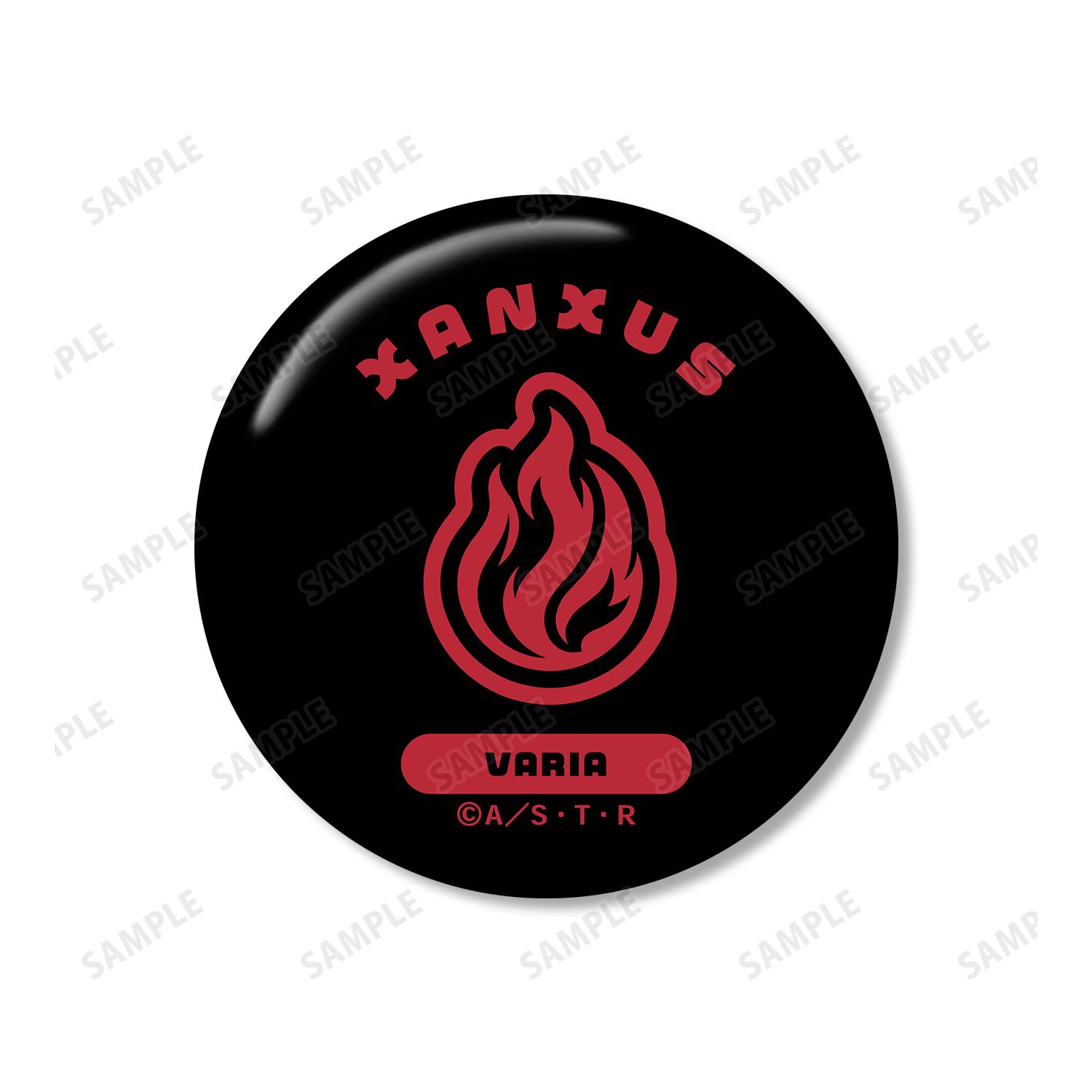 TVアニメ『家庭教師ヒットマンREBORN!』 XANXUS(10年後) ar-Unity モチーフネームデザイン 缶バッジ2個セット 图片 4 | AniSmile