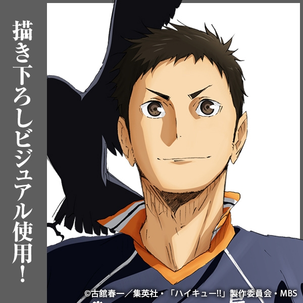 ハイキュー!! 澤村大地 アクリルスタンド(大)Ver.1.0 画像 3 | AniSmile