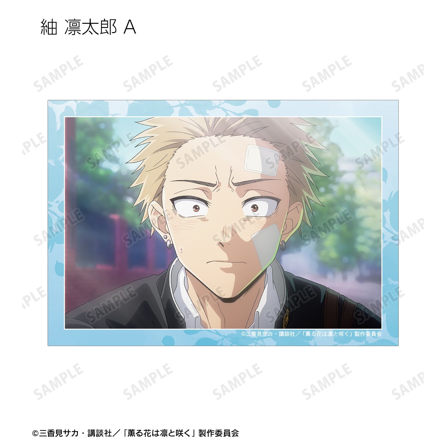 TVアニメ「薫る花は凛と咲く」 トレーディング 紬 凛太郎&和栗薫子オンリー 場面写ブロマイド(単位/単品) - AniSmile