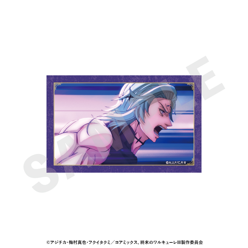 終末のワルキューレIII トレーディング場面写カード(全12種) - AniSmile