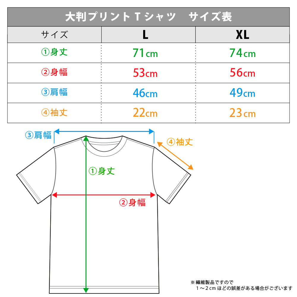 葬送のフリーレン 大判プリントTシャツ フリーレン Lサイズ 图片 5 | AniSmile