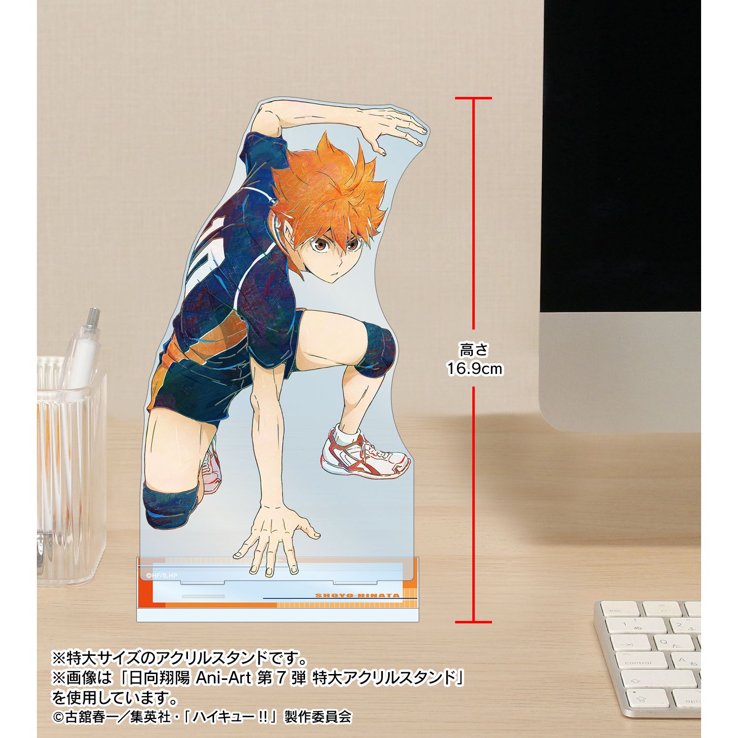 ハイキュー!! 及川 徹 Ani-Art 第7弾 特大アクリルスタンド 画像 5 | AniSmile