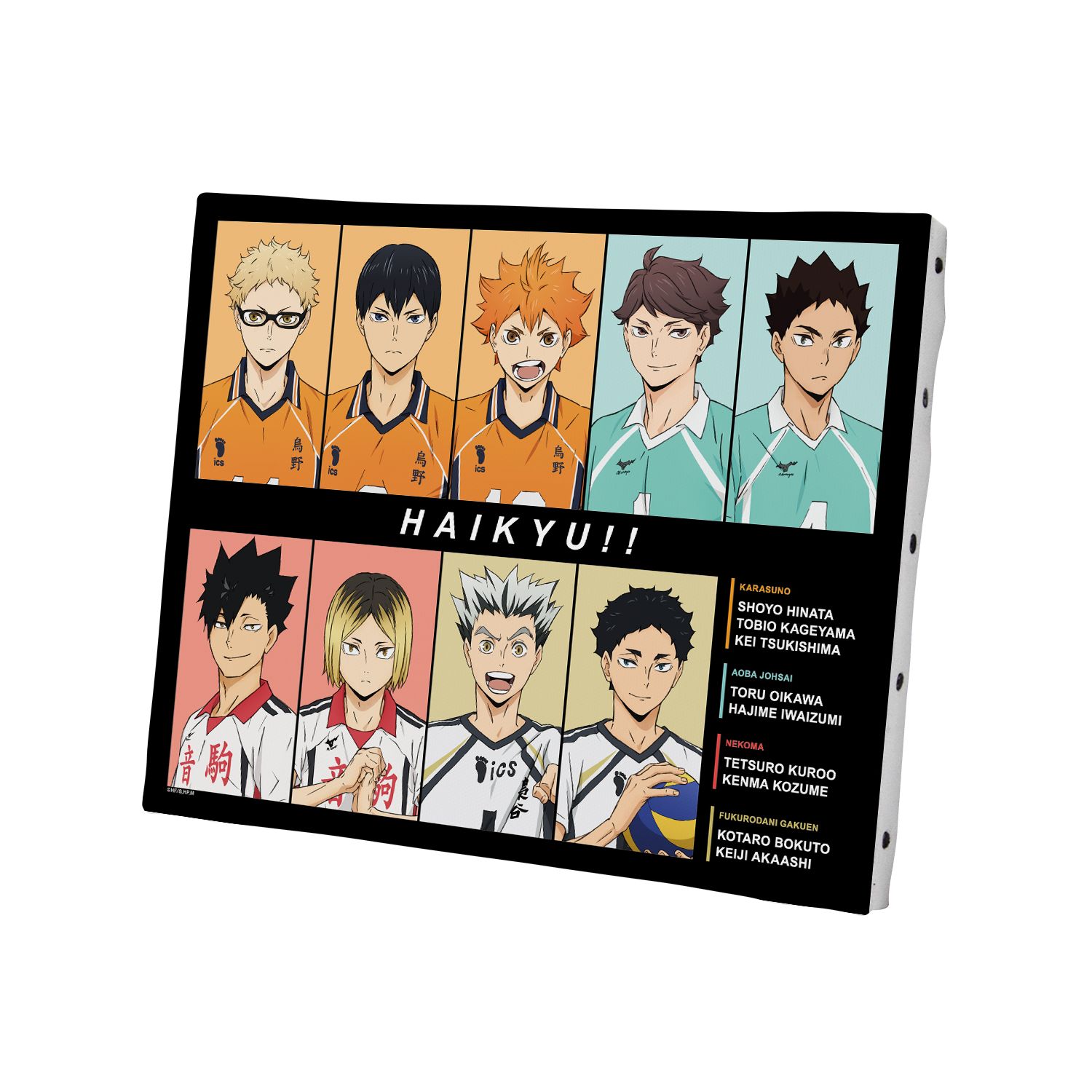 ハイキュー!! 集合 セカンドユニフォームver. キャンバスボード - 公式商品画像 | AniSmile