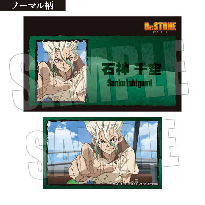 トレーディング名刺 Dr.STONE Image 2 | AniSmile