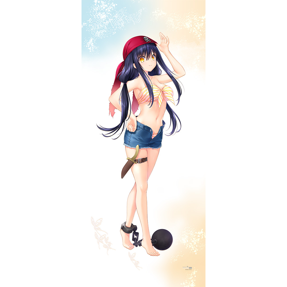 [Summer Pockets REFLECTION BLUE]特大タペストリー(久島鴎/夏フェス2025) - AniSmile