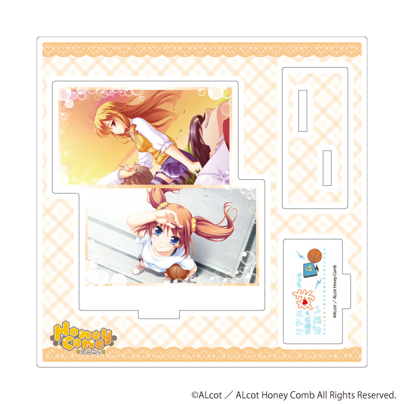 アクリルスタンドプレート「ALcot/ALcotハニカムシリーズ」09/リアル妹がいる大泉くんのばあいB(公式イラスト) - AniSmile