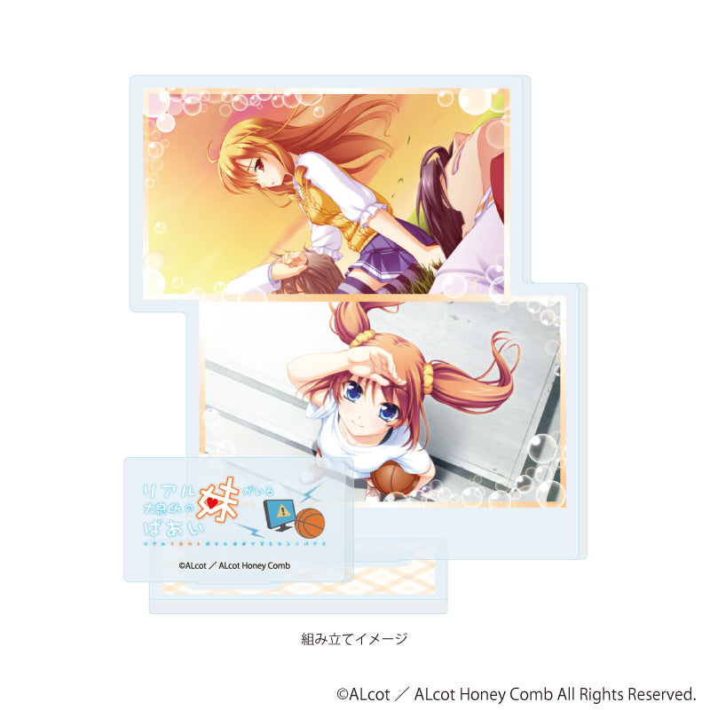 アクリルスタンドプレート「ALcot/ALcotハニカムシリーズ」09/リアル妹がいる大泉くんのばあいB(公式イラスト) 图片 2 | AniSmile
