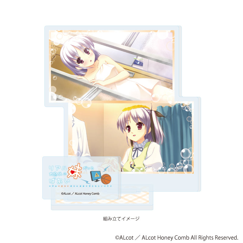 アクリルスタンドプレート「ALcot/ALcotハニカムシリーズ」08/リアル妹がいる大泉くんのばあいA(公式イラスト) Image 2 | AniSmile