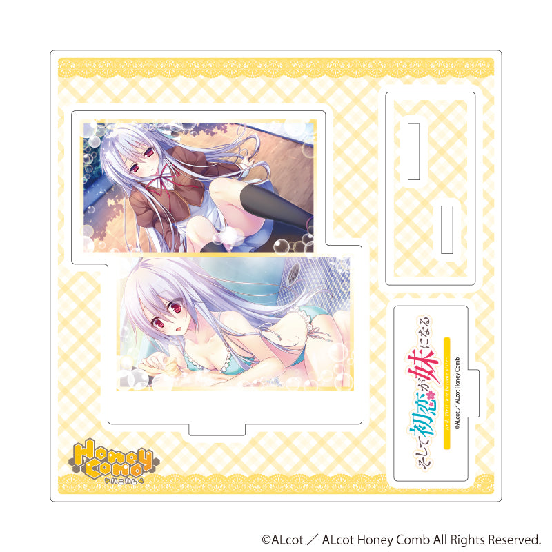 アクリルスタンドプレート「ALcot/ALcotハニカムシリーズ」05/そして初恋が妹になるA(公式イラスト) - AniSmile