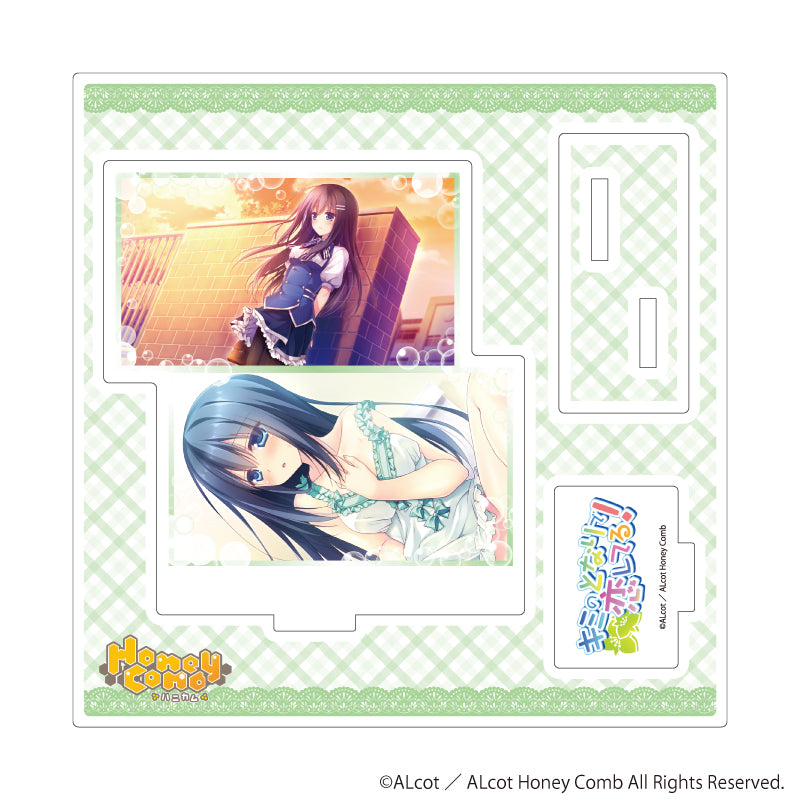 アクリルスタンドプレート「ALcot/ALcotハニカムシリーズ」04/キミのとなりで恋してる!B(公式イラスト) - AniSmile