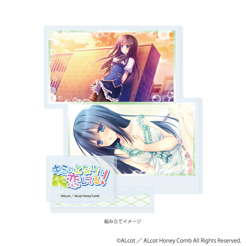 アクリルスタンドプレート「ALcot/ALcotハニカムシリーズ」04/キミのとなりで恋してる!B(公式イラスト) Image 2 | AniSmile