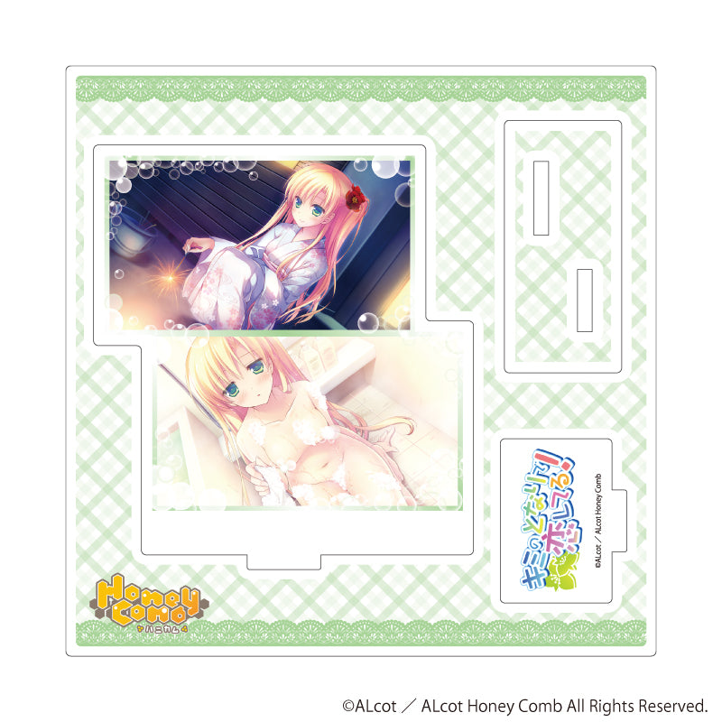 アクリルスタンドプレート「ALcot/ALcotハニカムシリーズ」03/キミのとなりで恋してる!A(公式イラスト) - AniSmile