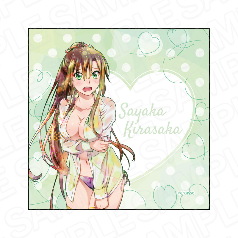 ストライク・ザ・ブラッドFINAL マイクロファイバー PALE TONE series 煌坂 紗矢華 Yシャツ ver. - AniSmile