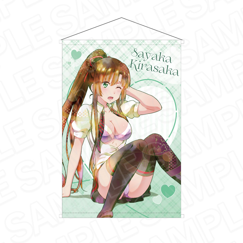 ストライク・ザ・ブラッドFINAL B1タペストリー PALE TONE series 煌坂 紗矢華 尻もち ver. - AniSmile